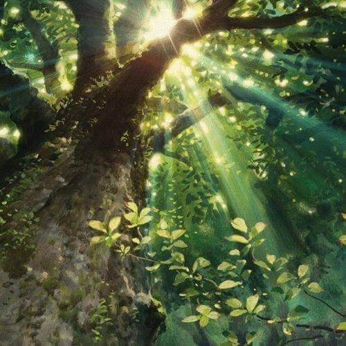 Manjolo – Das Leben im Jetzt – Der Augenblick – 05.07.2022