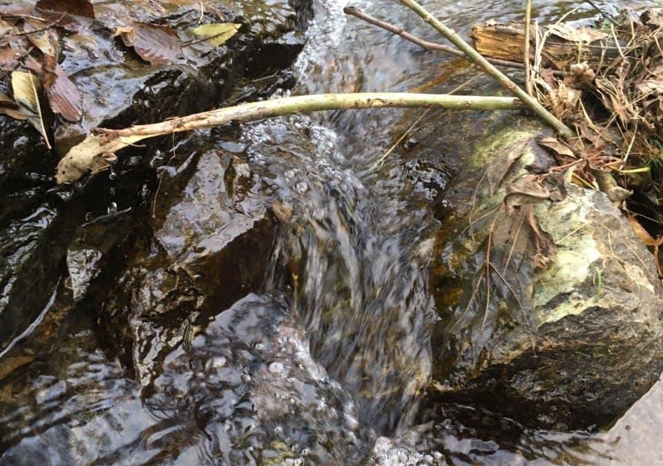 Auf OKiTALK – Maya – Wasser – ein Wunder der Natur und Quell des irdischen Leben – 10.10.2021