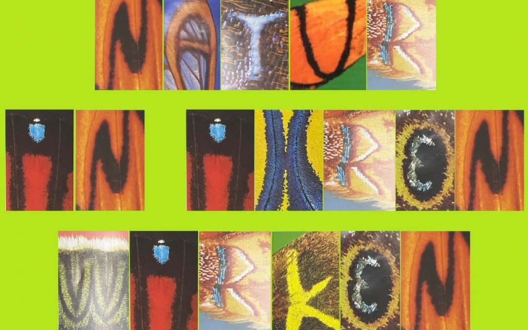 Auf OKITALK – Natur in Ihren Wirken Nr.10 – Wie  der Sinnlichkeit & Freiheit einen Hauch von Grösse schenken? – 15.  Juli. 2022