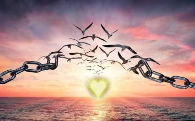 Auf OKiTALK – Manfred Josef – Thema Traumaauflösung – Vom 13.07.2021