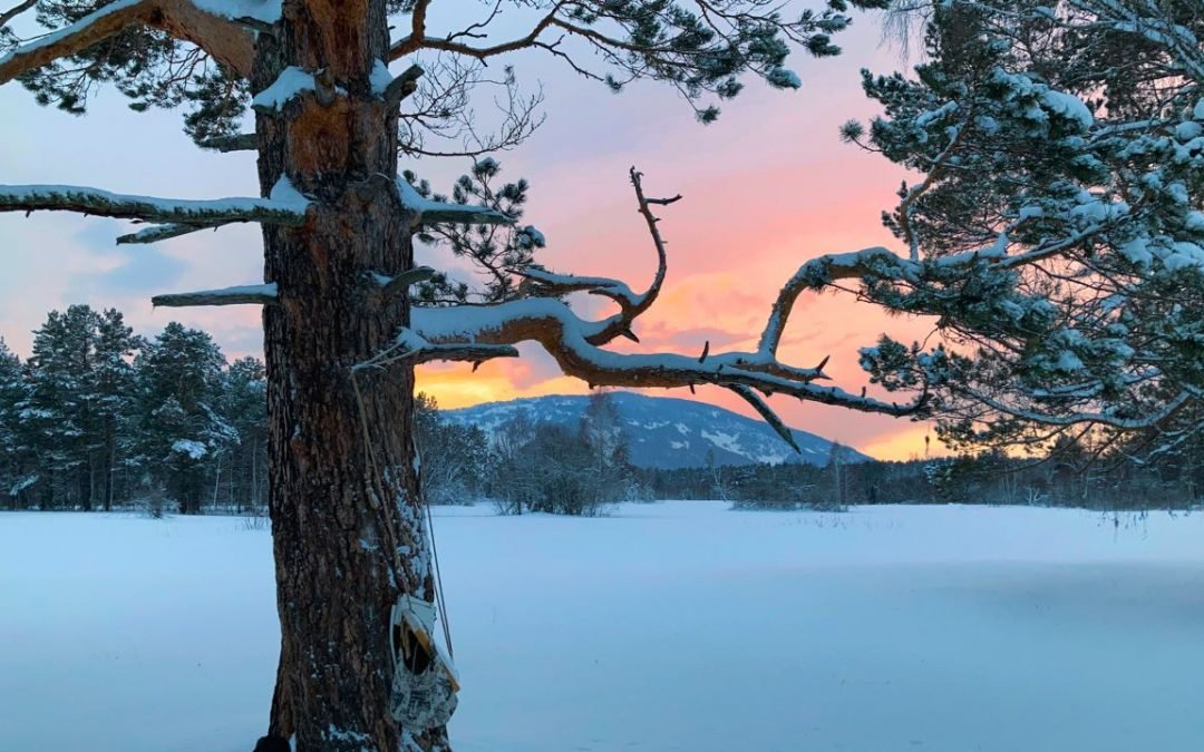 OKiTALK.news – Bilbo Calvez – RUSSLAND – Wir sehen uns bald wieder – 10.05.2023 live –