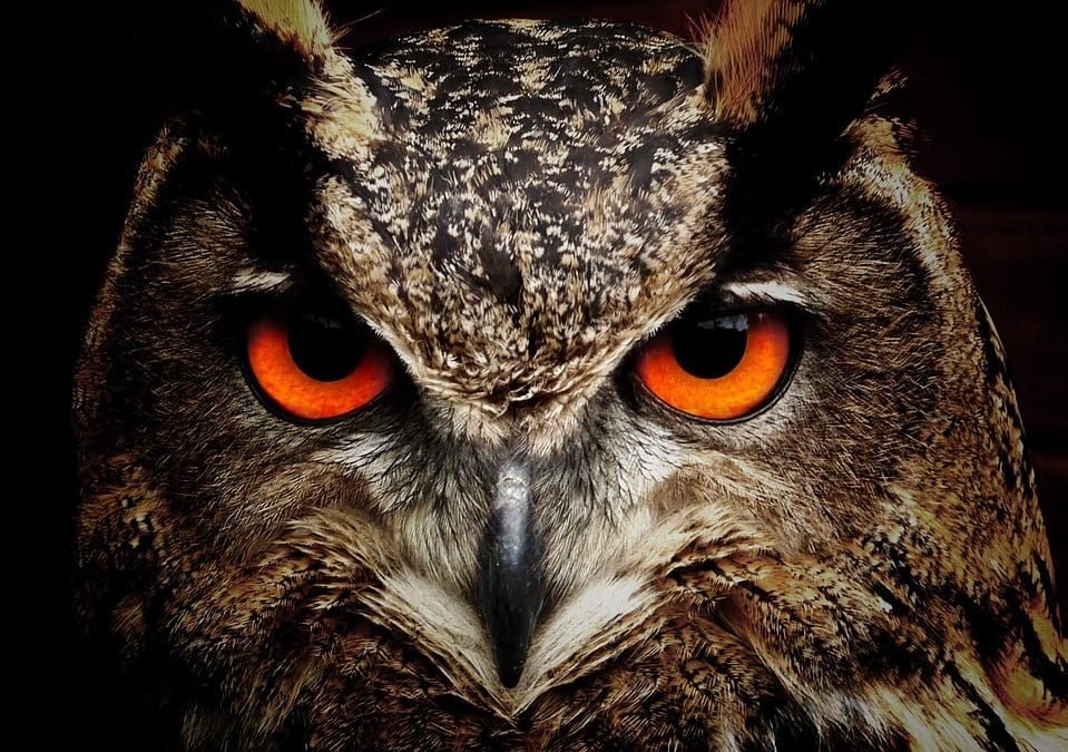 OKiTALK.news – Die Herzensakademie – Peter Kolar – 27.05.2023 –