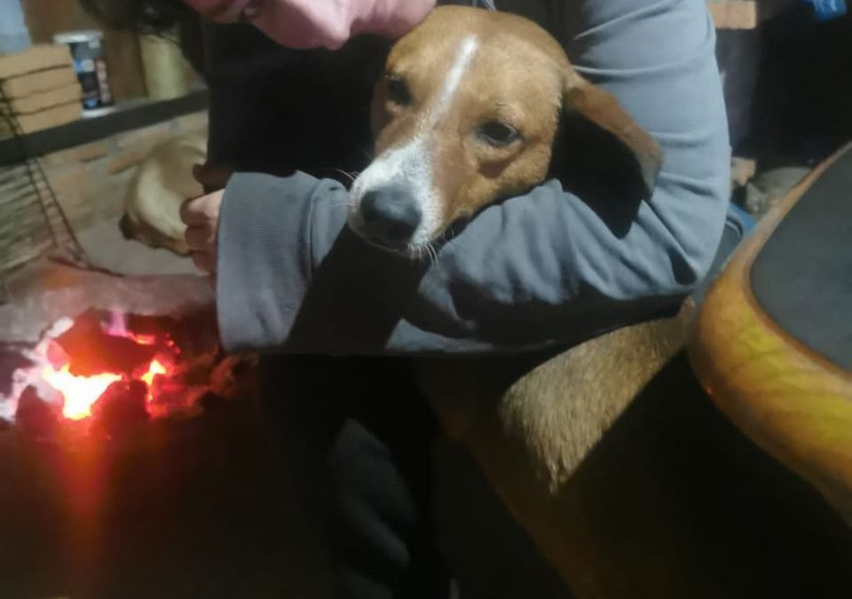 OKiTALK.news – Jasmin Schröder – seit 10 Jahren in Paraguay – 12.08.2023 – 20 Uhr live –