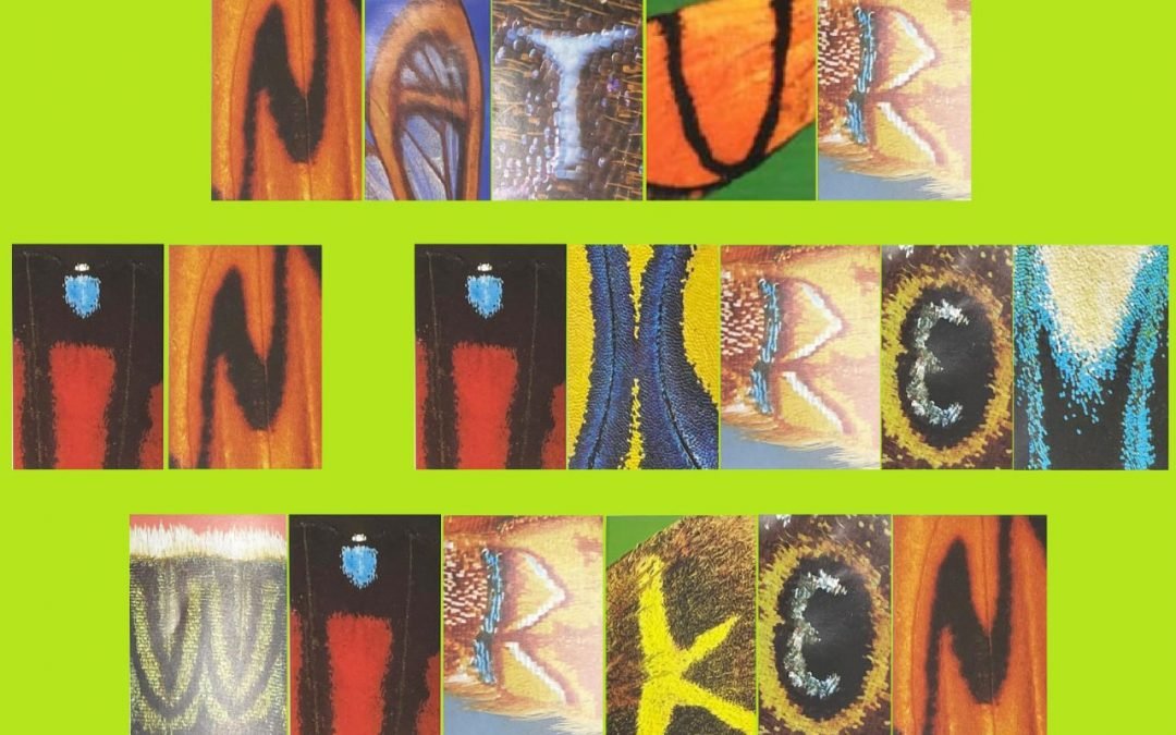 OKiTALK.news – Natur in ihrem Wirken – Die Kraft der Kommunikation und Bewusstwerdung – 10.08.2023 – 20 Uhr live