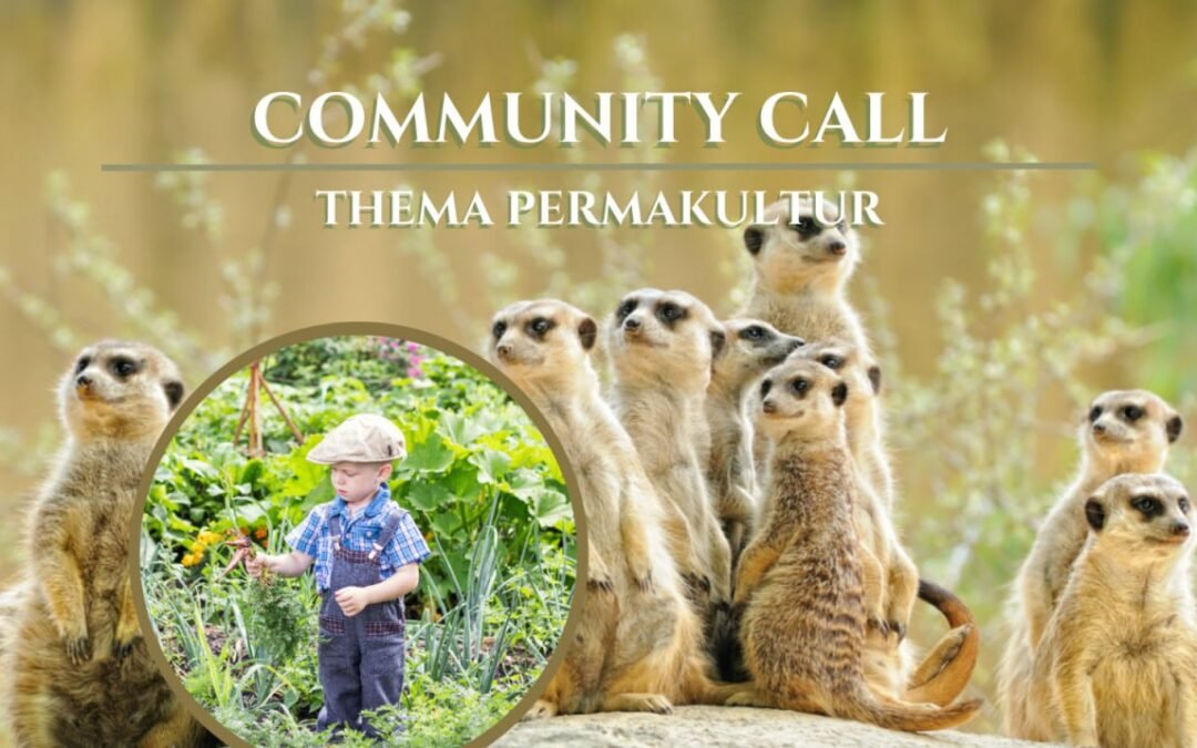 OKiTALK.news – Living Earth Community Call – Permakultur – Wenn wir die Naturgesetze kapieren – 04.03.2024 – 19 Uhr live –