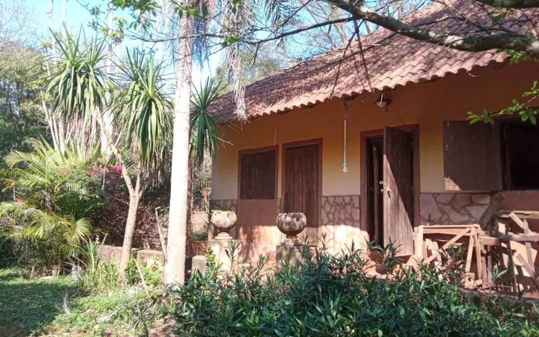 OKiTALK.news – Andrea Pohl – Erhalten des Urwald via Tourismus – 12.08.2024 – 20 Uhr live –