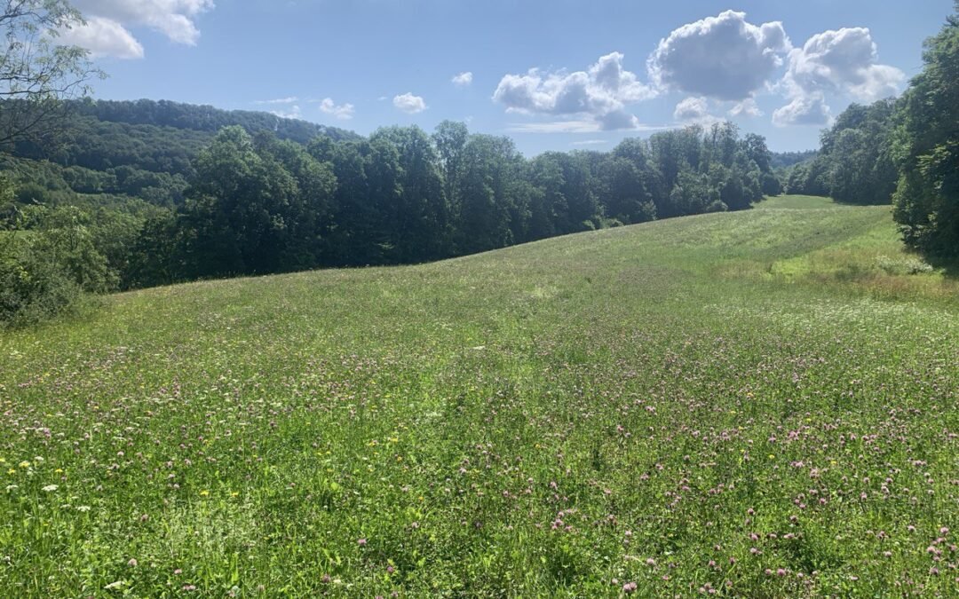 OKiTALK.news – Anthony Anhalt – Neue Welt – 26.05.2025 – 20 Uhr live –