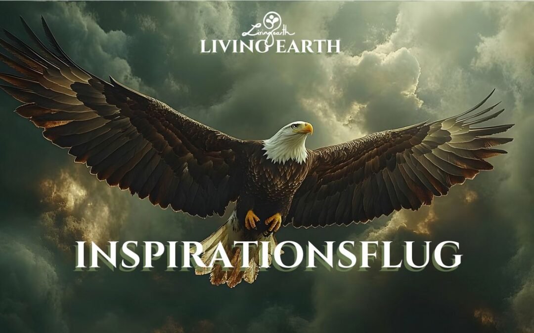 OKiTALK.news – INSPIRATIONSFLUG – Gesunder Wald – ausgeglichenes Klima – 03.02.2025 – 19 Uhr live –
