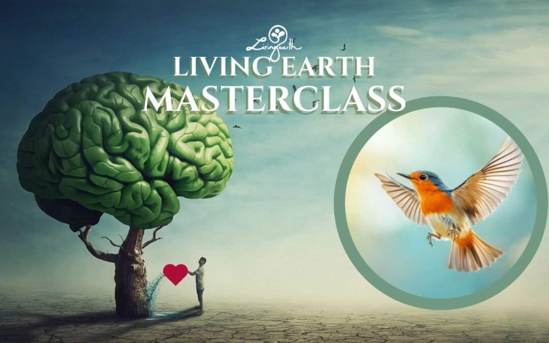 OKiTALK.news – Living Earth – MASTERCLASS – 11.12.2025 – 19 Uhr live –